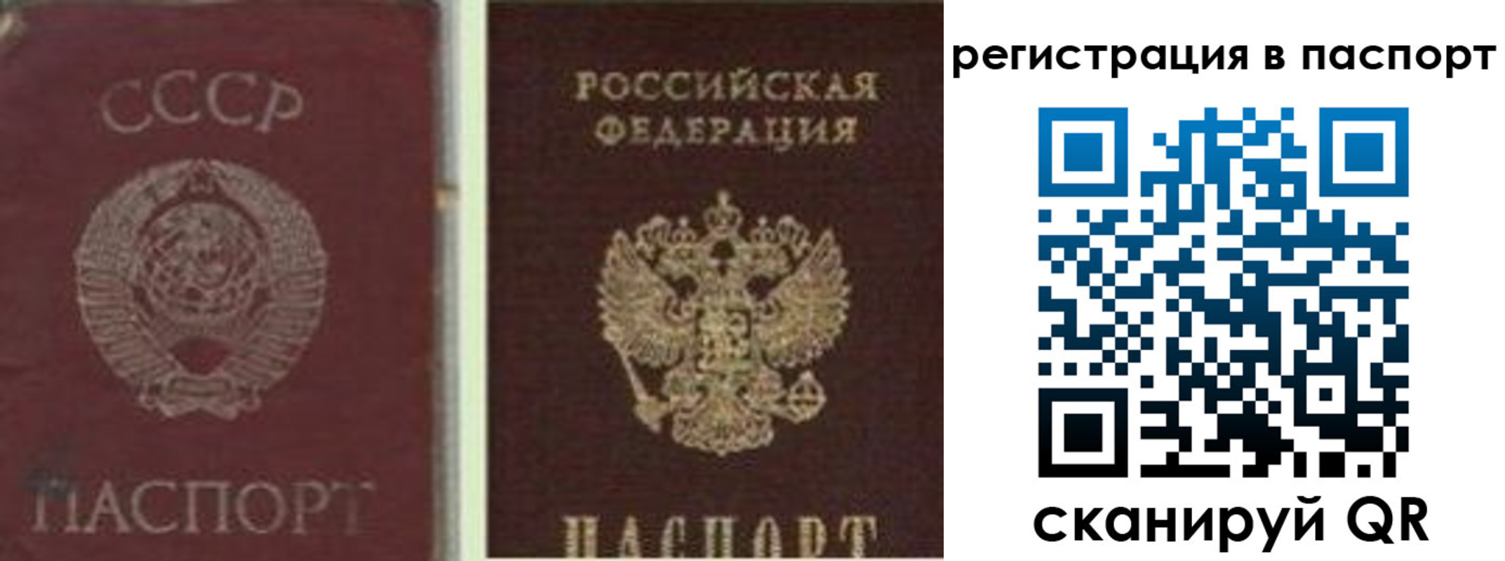 прописка для работы в Чехове